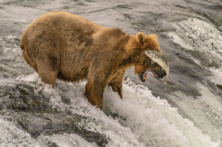 Natječaj za najbolje putopisne fotografije National Geographica je zavr&scaron;io i ovo su pobjednici