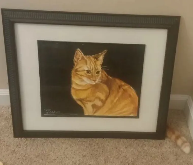 Najslađi tajni agenti: Ovi su kućni ljubimci odlični u igri 'skrivača' (ili oni bar tako misle)