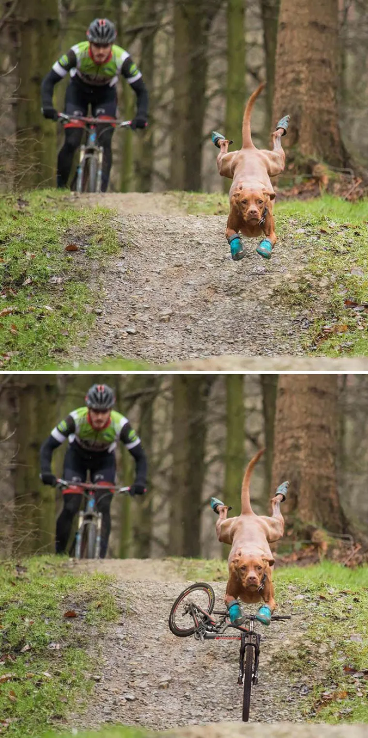 Foto šoping: Ovo su pobjednici natjecanja u Photoshopu koji se odvio na Redditu