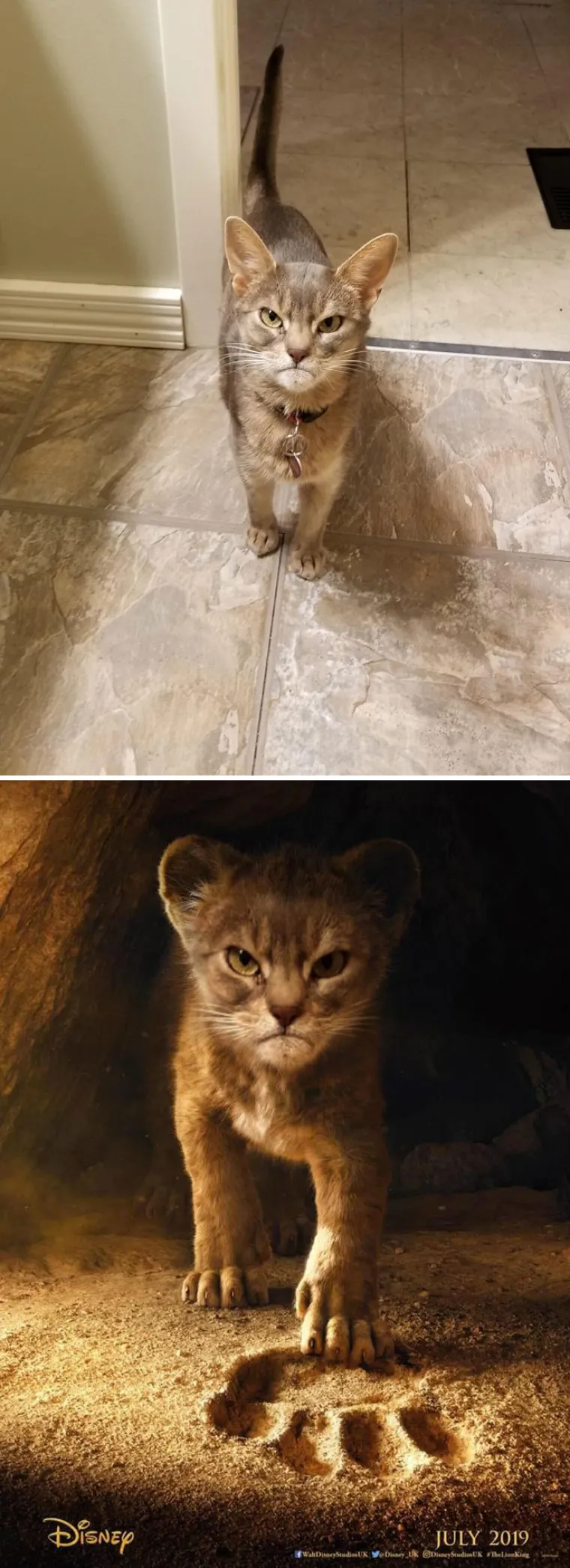 Foto šoping: Ovo su pobjednici natjecanja u Photoshopu koji se odvio na Redditu