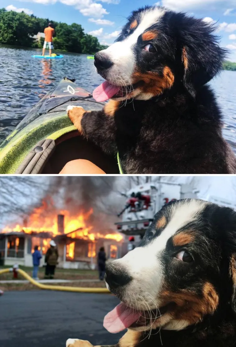 Foto &scaron;oping: Ovo su pobjednici natjecanja u Photoshopu koji se odvio na Redditu