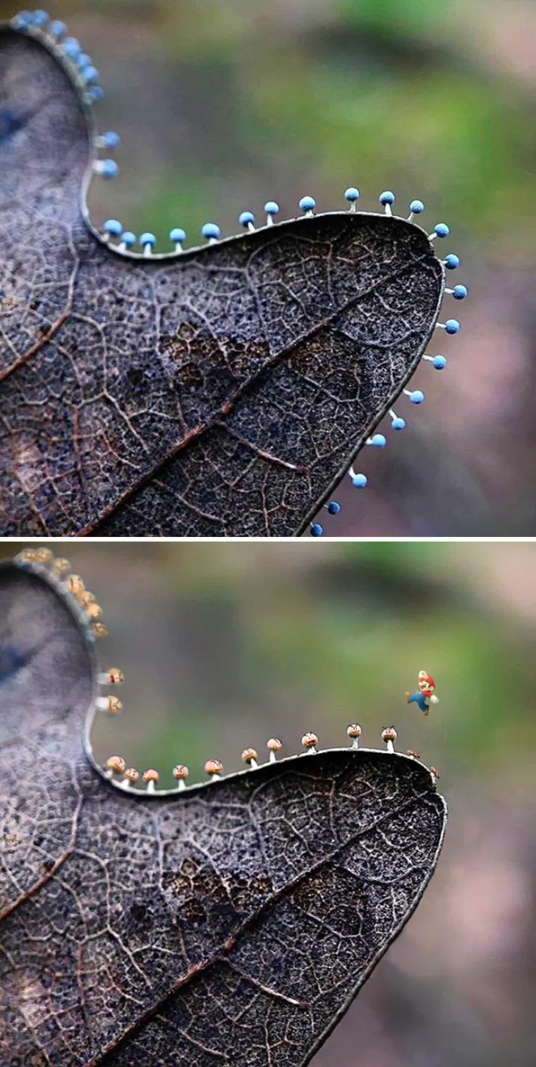 Foto &scaron;oping: Ovo su pobjednici natjecanja u Photoshopu koji se odvio na Redditu