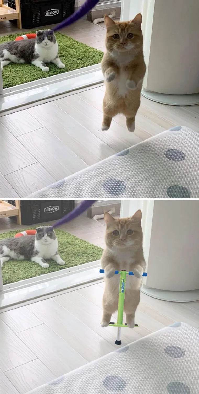 Foto &scaron;oping: Ovo su pobjednici natjecanja u Photoshopu koji se odvio na Redditu