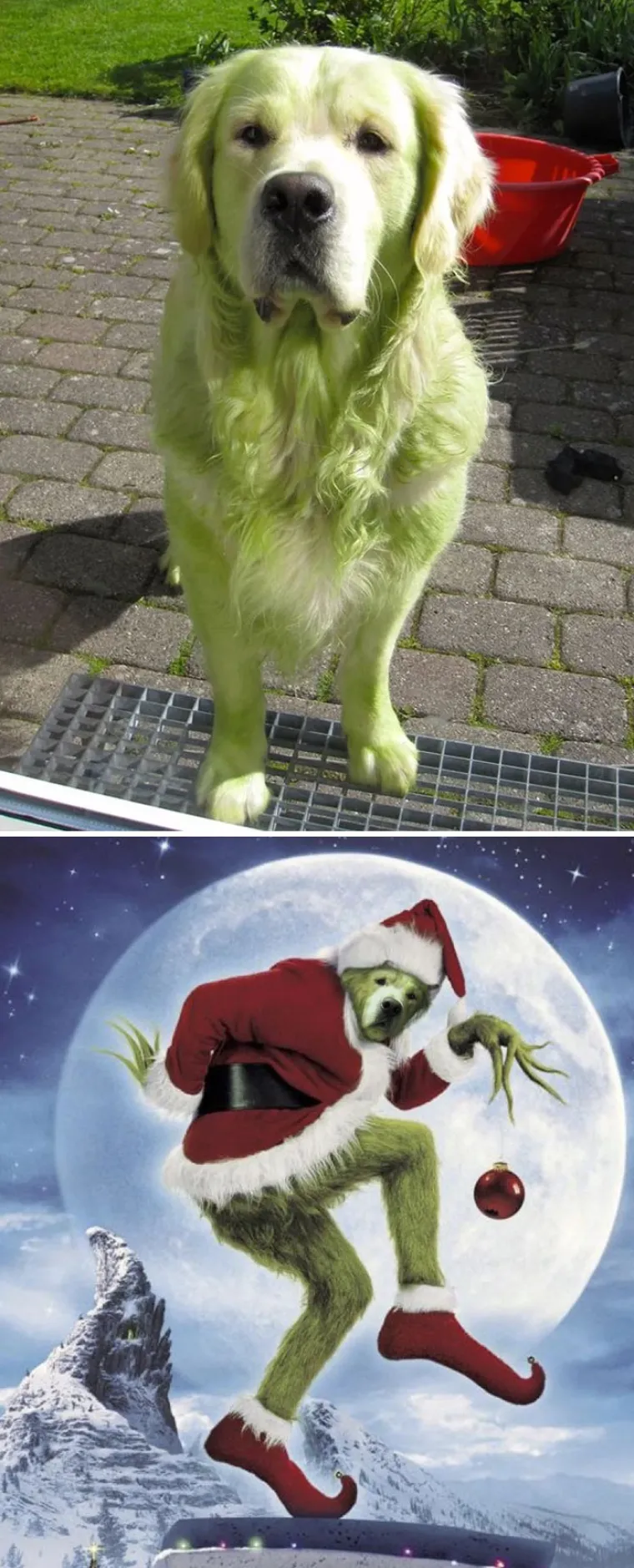 Foto &scaron;oping: Ovo su pobjednici natjecanja u Photoshopu koji se odvio na Redditu