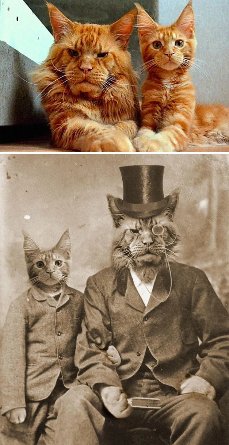 Foto &scaron;oping: Ovo su pobjednici natjecanja u Photoshopu koji se odvio na Redditu