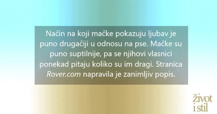 Voli li vas vaša mačka? Kako vam maca pokazuje ljubav