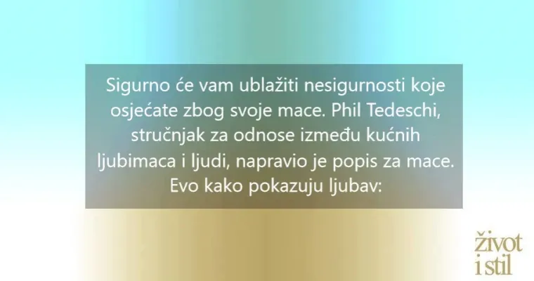 Voli li vas vaša mačka? Kako vam maca pokazuje ljubav