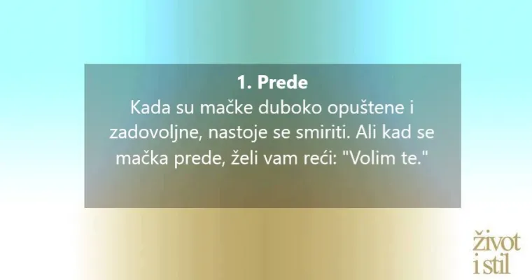 Voli li vas vaša mačka? Kako vam maca pokazuje ljubav