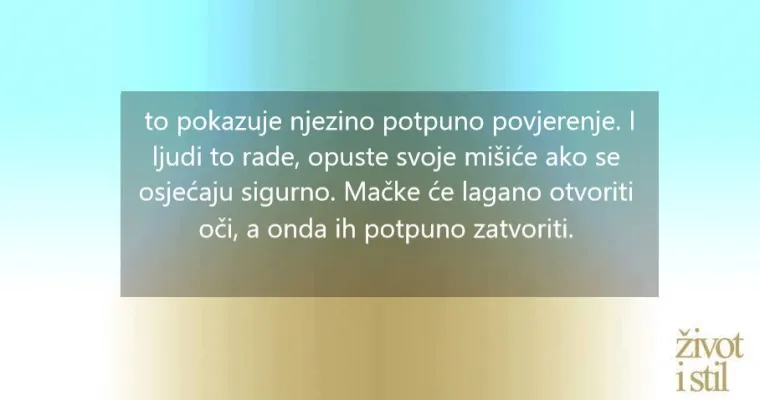Voli li vas vaša mačka? Kako vam maca pokazuje ljubav