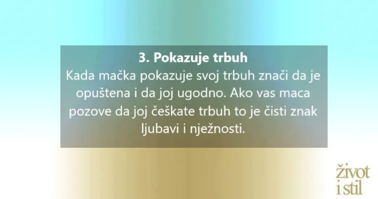 Voli li vas vaša mačka? Kako vam maca pokazuje ljubav
