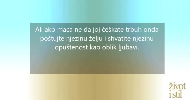 Voli li vas vaša mačka? Kako vam maca pokazuje ljubav