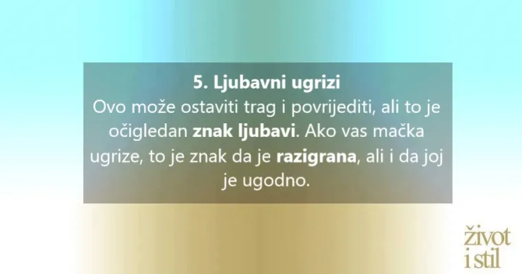 Voli li vas va&scaron;a mačka? Kako vam maca pokazuje ljubav