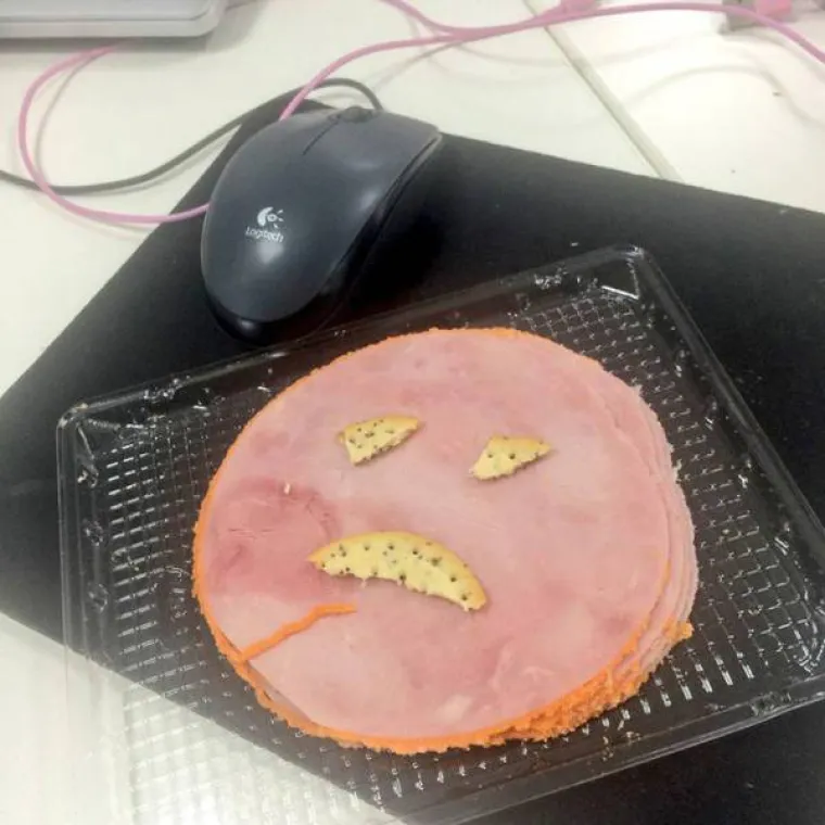 DRUGA POLOVICA MJESECA ZNAČI DA JEDE&Scaron; &Scaron;TO IMA&Scaron;: Ovo su najtužniji obroci koje su ljudi nosili na posao