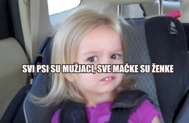 'Čokoladno mlijeko dolazi od smeđih krava': Sve gluposti u koje smo vjerovali kao klinci