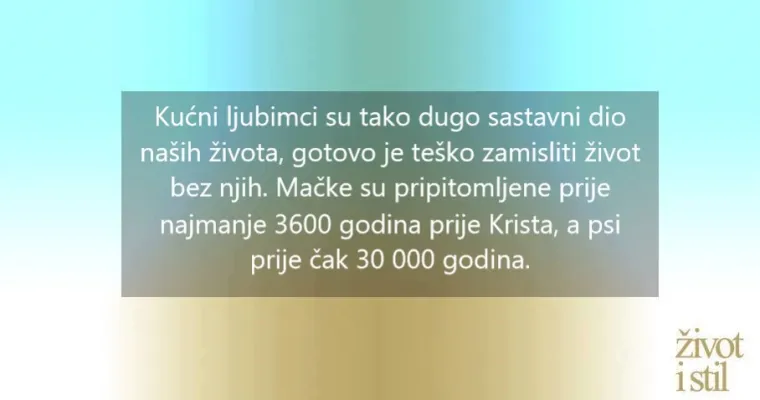 16 zanimljivih činjenica o kućnim ljubimcima zbog kojih ćete ih voljeti još više