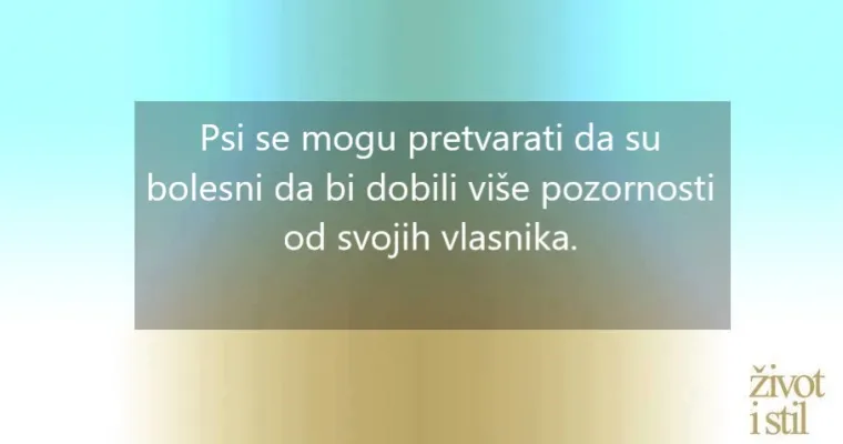 16 zanimljivih činjenica o kućnim ljubimcima zbog kojih ćete ih voljeti još više