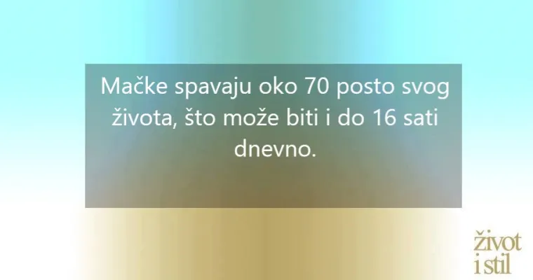 16 zanimljivih činjenica o kućnim ljubimcima zbog kojih ćete ih voljeti još više