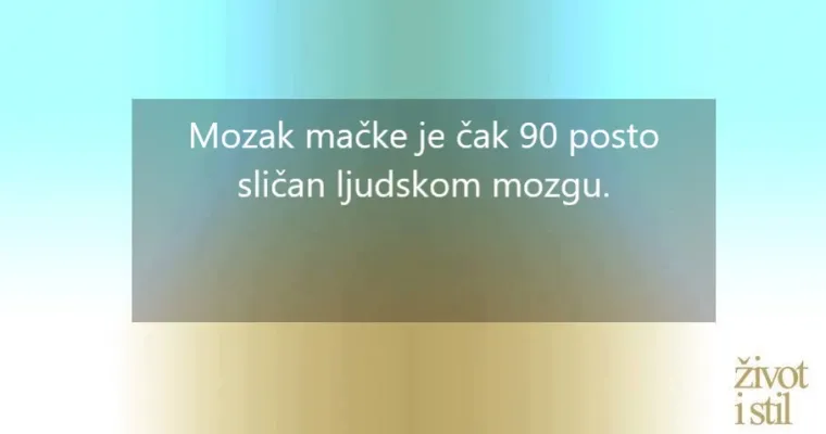 16 zanimljivih činjenica o kućnim ljubimcima zbog kojih ćete ih voljeti još više