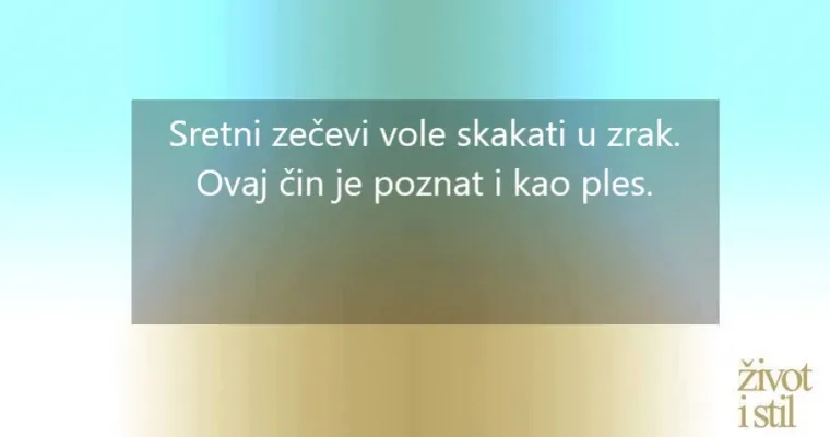 16 zanimljivih činjenica o kućnim ljubimcima zbog kojih ćete ih voljeti još više