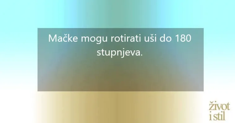 16 zanimljivih činjenica o kućnim ljubimcima zbog kojih ćete ih voljeti još više