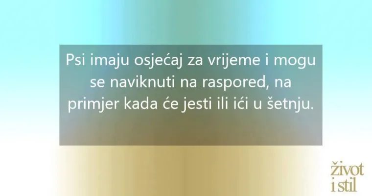 16 zanimljivih činjenica o kućnim ljubimcima zbog kojih ćete ih voljeti još više