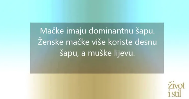 16 zanimljivih činjenica o kućnim ljubimcima zbog kojih ćete ih voljeti još više