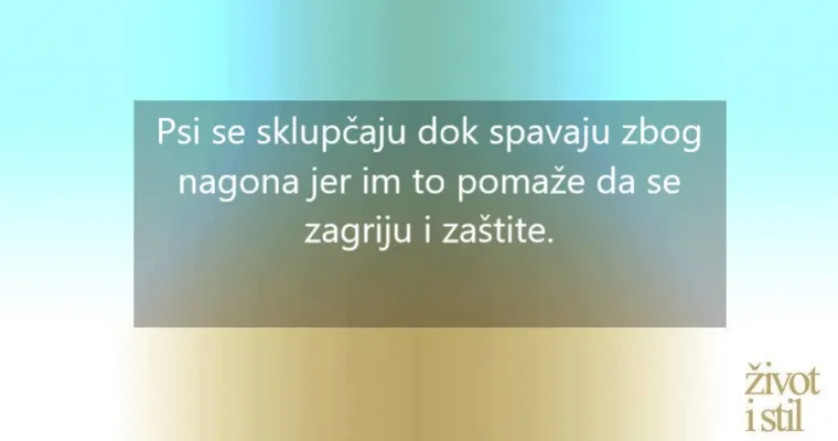 16 zanimljivih činjenica o kućnim ljubimcima zbog kojih ćete ih voljeti jo&scaron; vi&scaron;e