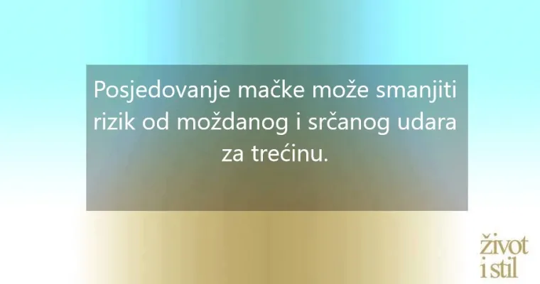 16 zanimljivih činjenica o kućnim ljubimcima zbog kojih ćete ih voljeti jo&scaron; vi&scaron;e