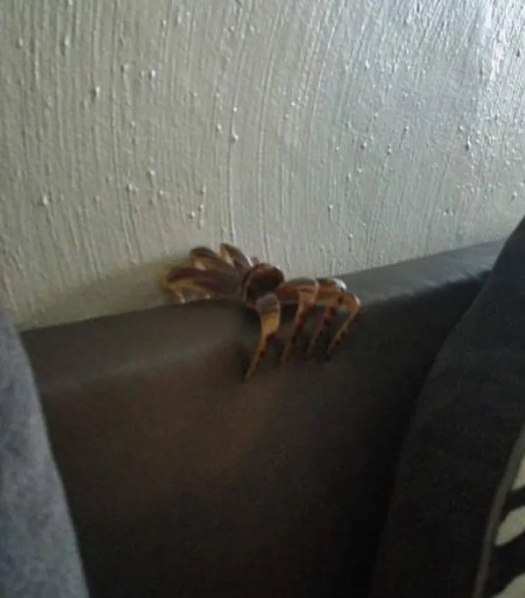 Ovih je 15 osoba skoro doživjelo srčani udar zbog optičkih iluzija