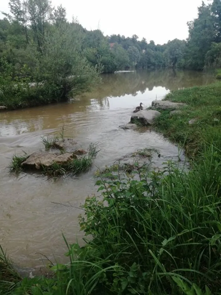 Ovo ne pamte ni najstariji stanovnici koji žive na obali Mrežnice: 'Pretvorila se u blatnu kaljužu'