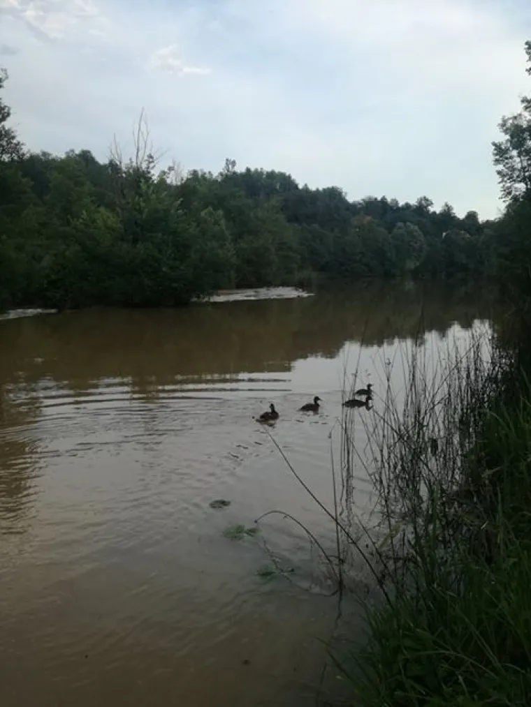 Ovo ne pamte ni najstariji stanovnici koji žive na obali Mrežnice: 'Pretvorila se u blatnu kaljužu'
