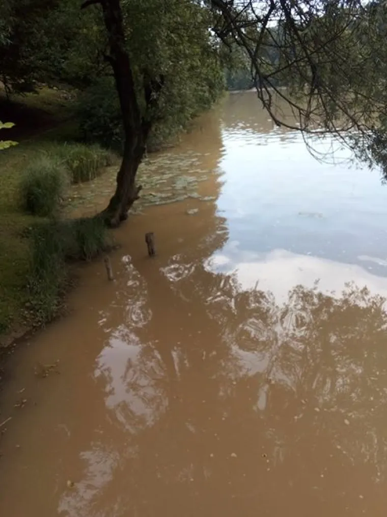 Ovo ne pamte ni najstariji stanovnici koji žive na obali Mrežnice: 'Pretvorila se u blatnu kaljužu'