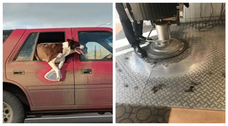 Neke stvari nemaju rok trajanja: 20 izlizanih fragmenta pro&scaron;losti koji skrivaju predivne priče