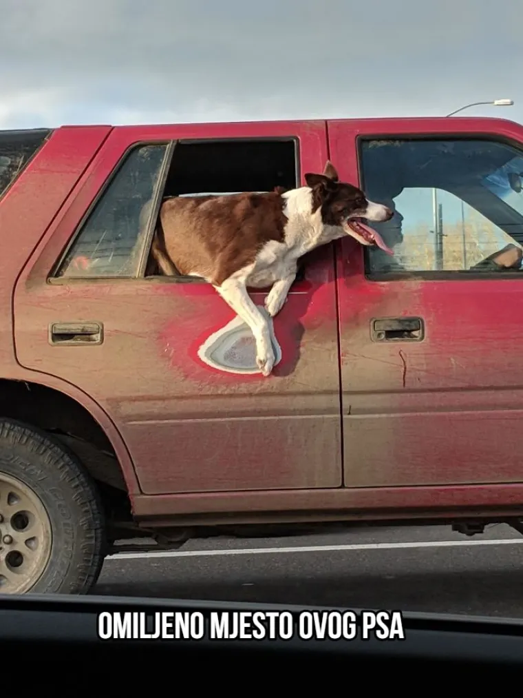 Neke stvari nemaju rok trajanja: 20 izlizanih fragmenta pro&scaron;losti koji skrivaju predivne priče
