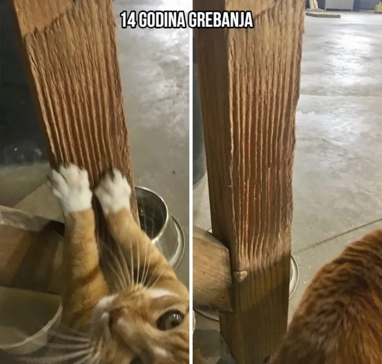 Neke stvari nemaju rok trajanja: 20 izlizanih fragmenta pro&scaron;losti koji skrivaju predivne priče