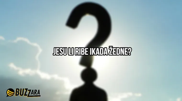 'S koliko godina mi naraste kondom?': 25 najglupljih pitanja ikada postavljenih na internet