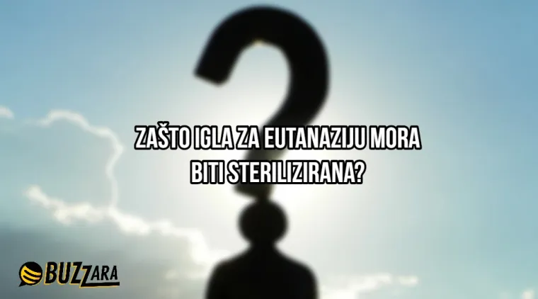 'S koliko godina mi naraste kondom?': 25 najglupljih pitanja ikada postavljenih na internet