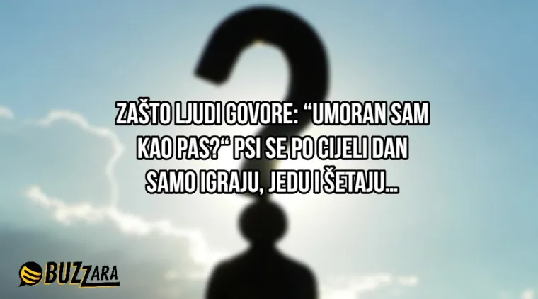 'S koliko godina mi naraste kondom?': 25 najglupljih pitanja ikada postavljenih na internet