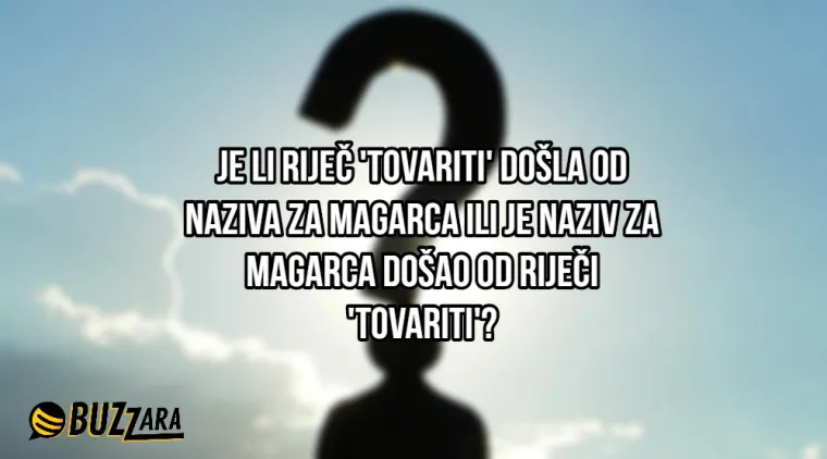 'S koliko godina mi naraste kondom?': 25 najglupljih pitanja ikada postavljenih na internet