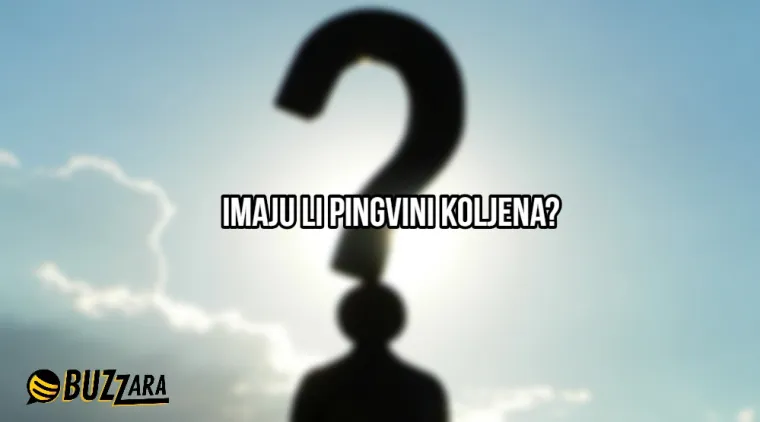 'S koliko godina mi naraste kondom?': 25 najglupljih pitanja ikada postavljenih na internet