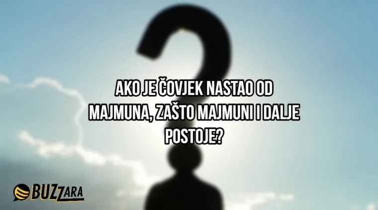 'S koliko godina mi naraste kondom?': 25 najglupljih pitanja ikada postavljenih na internet