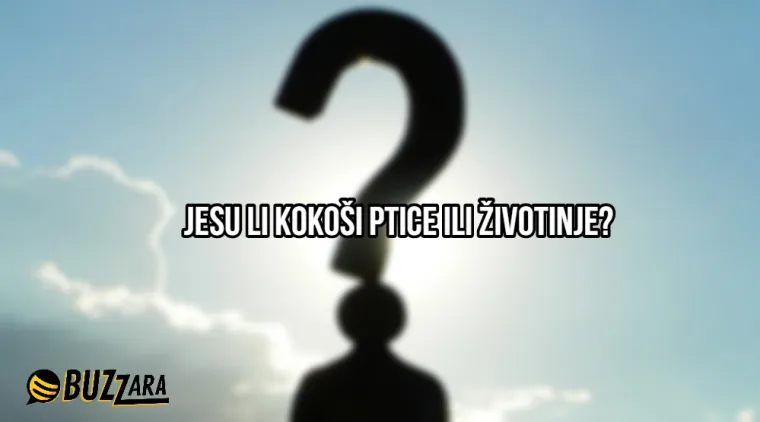 'S koliko godina mi naraste kondom?': 25 najglupljih pitanja ikada postavljenih na internet