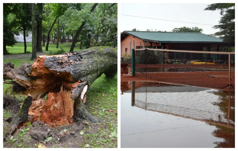 Slavonski Brod: Nevrijeme praćeno jakim vjetrom čupalo stabla i poplavilo ulice i podrume