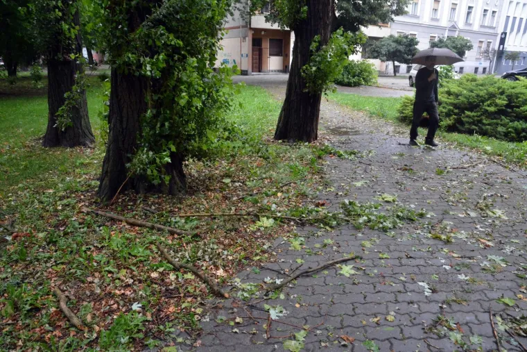 Slavonski Brod: Nevrijeme praćeno jakim vjetrom čupalo stabla i poplavilo ulice i podrume
