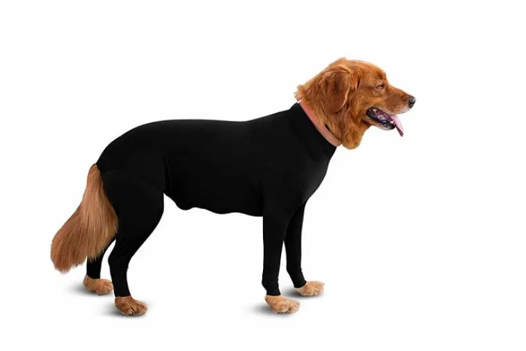 Kombinezon za pse protiv linjanja, je li to normalno? Možda se varamo, ali nama ba&scaron; i nije...