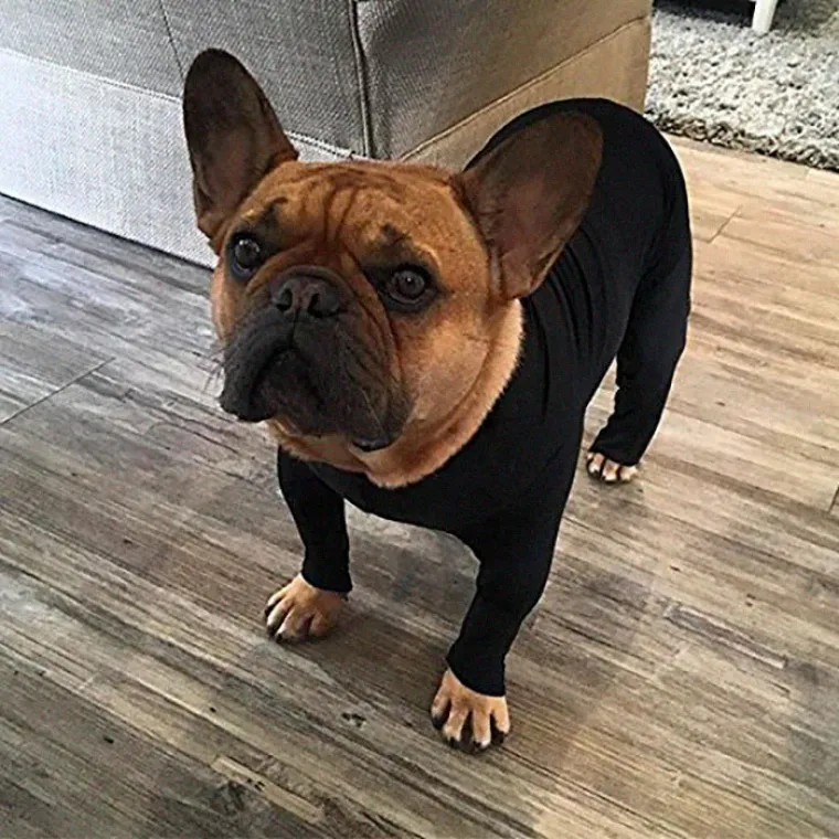 Kombinezon za pse protiv linjanja, je li to normalno? Možda se varamo, ali nama ba&scaron; i nije...