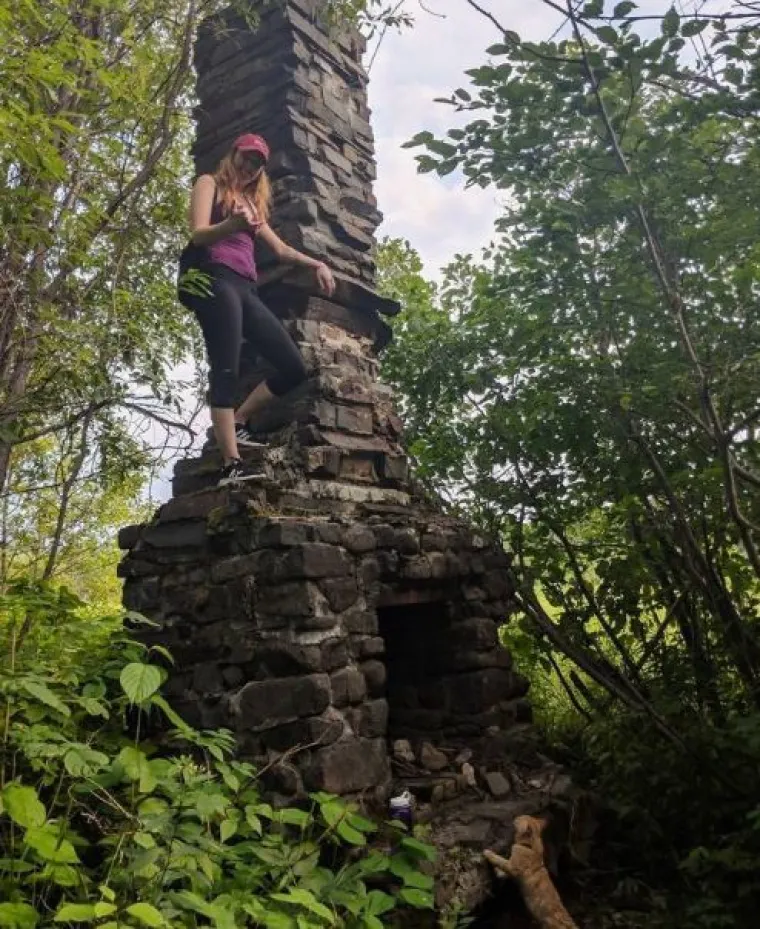 Od WC-&scaron;koljaka na granama do Winnie Pooh kućice: 20 najčudnijih stvari u &scaron;umama diljem svijeta