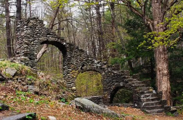 Od WC-&scaron;koljaka na granama do Winnie Pooh kućice: 20 najčudnijih stvari u &scaron;umama diljem svijeta