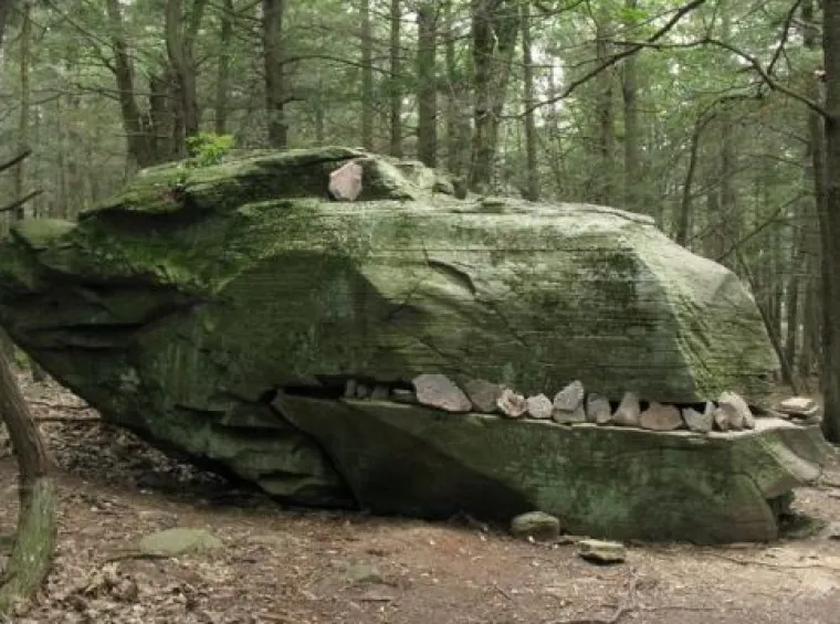 Od WC-&scaron;koljaka na granama do Winnie Pooh kućice: 20 najčudnijih stvari u &scaron;umama diljem svijeta