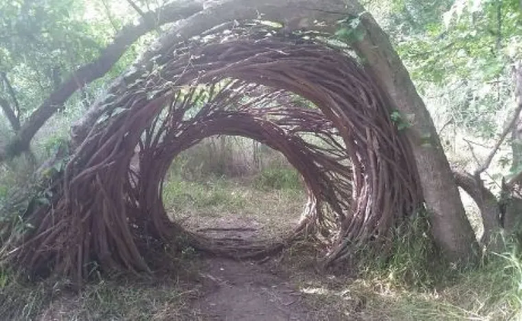 Od WC-&scaron;koljaka na granama do Winnie Pooh kućice: 20 najčudnijih stvari u &scaron;umama diljem svijeta